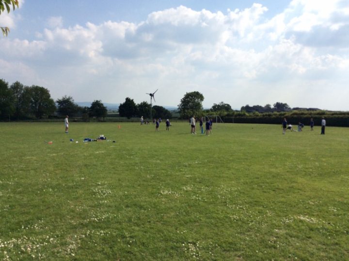 Sunshine and cricket